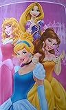 Disney Princess Oversize Silk Touch Throw [並行輸入品]