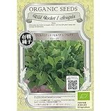 [野菜タネ]野菜の種：有機種子　ワイルドロケット 3個セット[2～9月まき] ノーブランド品