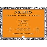 アルシュ 水彩紙 ブロック 300g 荒目36X51cm 20枚 (1795088)