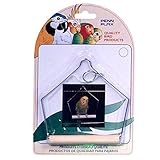 High quality Bird Swing, 4-Inch