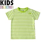 ノースフェイス THE NORTH FACE キッズ 子供服 ショートスリーブボーダーTシャツ S/S Border Tee ボーダー 半袖 Tシャツ グリーンランタン NTJ31618 / 130サ