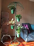 花スタンド屋内 屋内植物花フレームフレーム/レトロ鉄花フレーム/バルコニー中庭フロア花花屋衣料品店 (色 : 緑)
