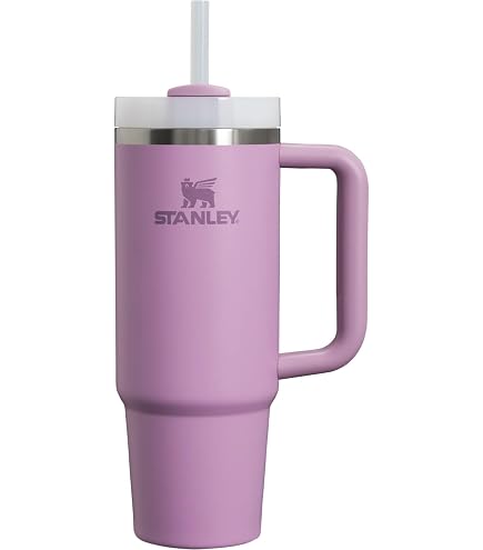 Amazon.co.jp: STANLEY(スタンレー) H2.0 真空クエンチャー 0.88L