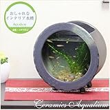 信楽焼　陶器水槽丸型（茶色） 水槽 セット　すいそう　スイソウ　陶器　 金魚鉢 水鉢 陶器 su-0123 (茶色)