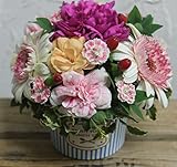 日時指定可 ♦♦ petit cup　生花のアレンジメント　♦♦マケプレお急ぎ便:午後1時までのご注文で翌日配達可能※日時指定便・マケプレお急ぎ便は「通常配送と同料金」でご利用いただけます。★★ 誕生