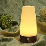 ワイヤレスモーションセンサーシリンダーLEDナイトライトバッテリー駆動ランプ