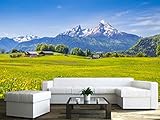 wall26 Wall Muralシリーズ 自己接着式壁紙 大型 66"x96" WMR-WP-X-C631-66x24x4