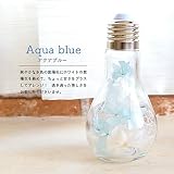 Merci la fleur Ampoule series アンプル パステルシリーズ 電球テラリウム アレンジ プリザーブドフラワー (アクアブルー)