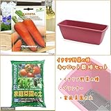 イタリア野菜の種 キャロットを育てよう たのしい栽培セット 家庭菜園