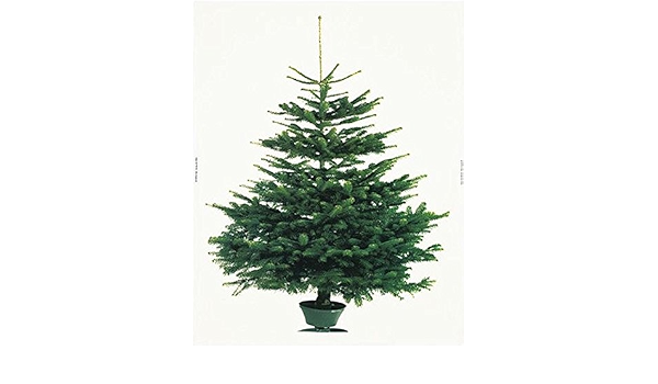 Amazon Co Jp イケア クリスマス ツリー タペストリー もみの木 壁面 大型 パネル 特大 ホーム キッチン