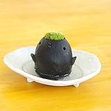 苔盆栽 モスモス モストリ（黒・グレー系）・ 受け皿（白・ベージュ系）セット