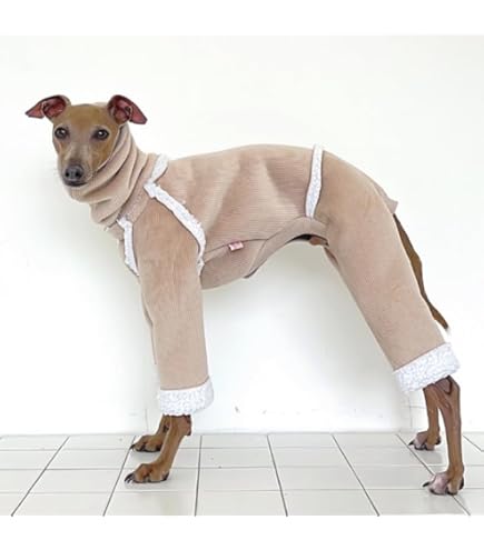 Amazon | イタリアングレーハウンド服 Houndy's リバーシブル オーバー