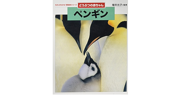 どうぶつの赤ちゃん ペンギン ちがいがわかる写真絵本シリーズ 光子 増井 本 通販 Amazon