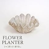 プランター 植木鉢 貝型鉢 シャコ貝 プランター小 （底穴なし） レジン 貝モチーフ 鉢 オーナメント