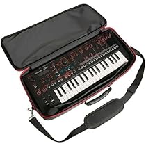 Amazon.co.jp: PLAYTECH (プレイテック) 折畳み式ミニキーボード