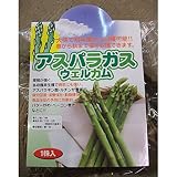 アスパラガス:ウェルカム Mサイズ 1株袋詰め 2袋セット ノーブランド品