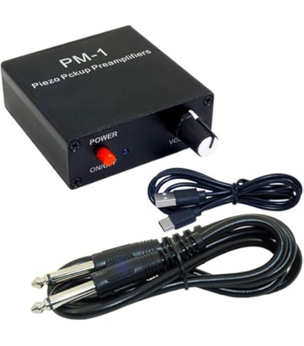 Amazon.co.jp: L.R.Baggs MIXPRO プリアンプ DUAL CHANNEL