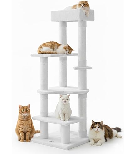 Amazon | キャットタワー 据え置き スリム CW-T0923 角置き対応「人間
