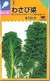 わさび菜 （6ml）