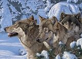 Wolves of Winter [並行輸入品]