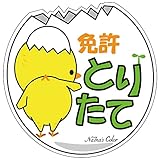 Na7na's Color 車 マグネット ステッカー 免許とりたて 初心者マーク 耐水 UVカット 14.8cm