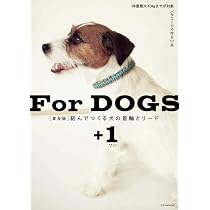 【レコード出品】愛犬首輪・他 517XZRO0KuL._AC_UL210_SR210,