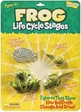 Life Cycle Stages-Frog [並行輸入品]