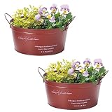 (セット品：2個セット) クール ナチュラルブリキポット (植木鉢) サークル M (寄鉢用/3.5号×3) レッド COOL TIN POT ガーデン用品