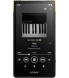 ケース入り細長液晶ディスプレイ 480x1920 Amazon.co.jp: Gator Cases gled1924roto成形の輸送LCD / LED