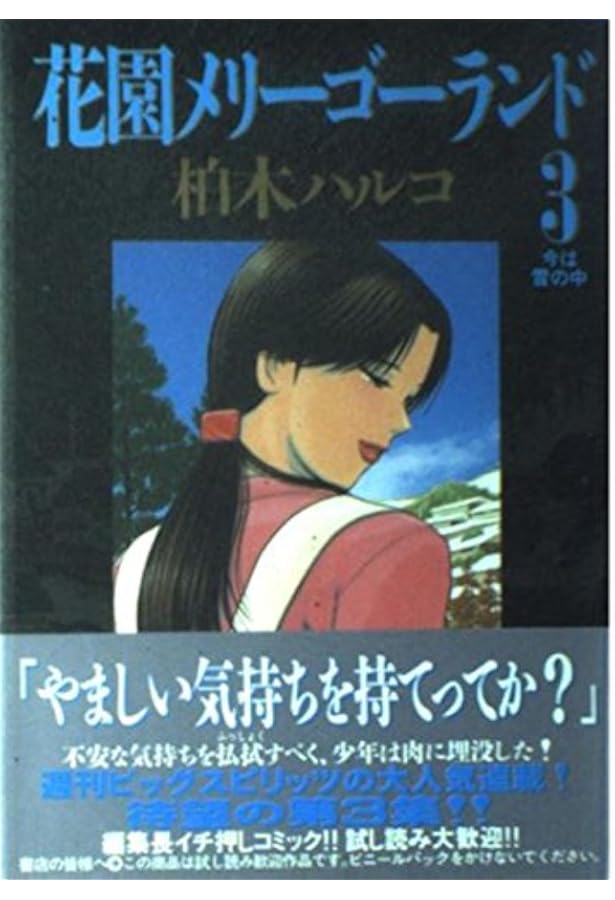 Amazon.co.jp: 花園メリーゴーランド 1 (ビッグコミックス) : 柏木