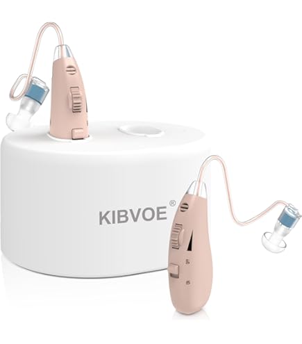 楽ちんヒアリング 充電式集音器 約30倍に音を増幅 音量調整 敬老の日プレゼント Amazon.co.jp: 【公式】Shop Japan(ショップジャパン) 楽ちん