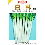 【種子】ネギ　白林 小袋