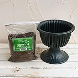 スタンド鉢：ルナ8号グリーン（プラ鉢）と培養土のセット ノーブランド品