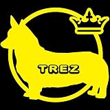 14色 愛犬名 or 犬種名入り コーギー ステッカー DOG ON BOARD【DOG IN CAR 愛犬 ワンコ 名入れ ネーム ドッグ 犬 車 カーサイン 名前 名前入れ】 (イエロー)