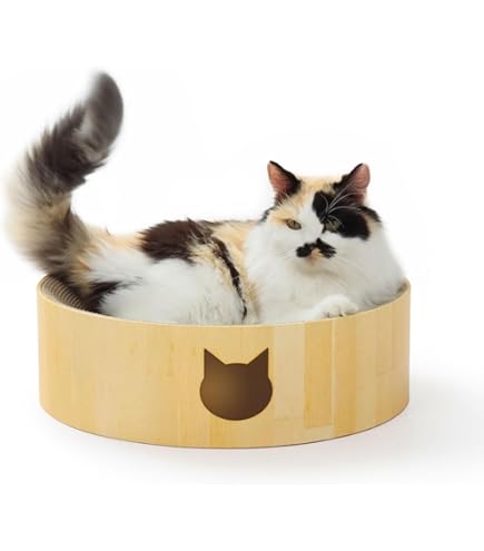 Amazon.co.jp: 【にゃんゲート】 LIFAXIA ペットゲート 猫 170cm ハイ