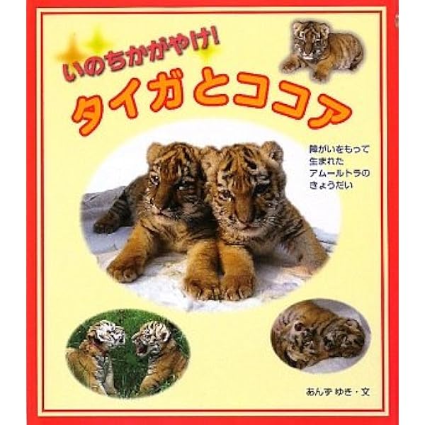Amazon.co.jp: タイガとココア 障がいをもつアムールトラの命の