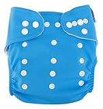Trend Lab Cloth Diaper, Turquoise with White Liner by Trend Lab [並行輸入品]