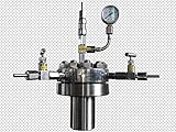 High Pressure Hydrothermal Autoclave Reactor 500ml 380? 22Mpa Customizable