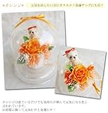 Lovely Happy Bear 花風水 パワーストーン ダブル パワー ドーム 入 くまさん オレンジ バラ アレンジ