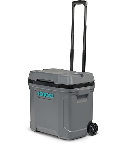 Amazon | イグルー(Igloo) BMX 25 OILGREEN | Igloo | クーラーボックス