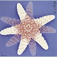 スピッツ　色色衣　新品未使用　送料込み Amazon.co.jp: 色色衣 - スピッツ: ミュージック