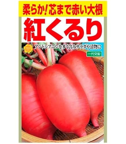 大根 F1 おろし大根(4775): 種