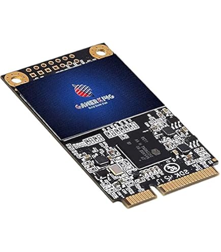 Amazon | Dogfish Msata SSD 1TB 内蔵型 ミニ ハードディスク SSD Disk
