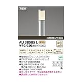 コイズミ照明 【工事必要】 LEDガーデンライト 【白熱球60W相当】 シルバーメタリック：AU38585L