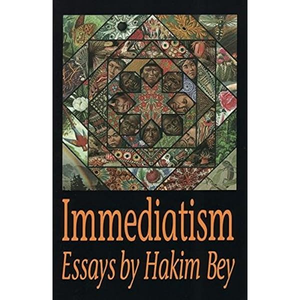 Amazon | T.A.Z. : The Temporary Autonomous Zone, Ontological