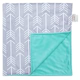 Towin Baby Arrow Minky Receiving Blanket, Mint 30x30 by TOWIN BABY