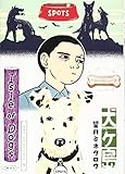 犬ヶ島