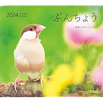 517khe3mWdL._AC_UL210_SR210,