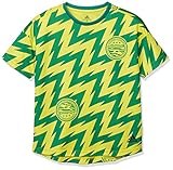 [アディダス] 半袖 Tシャツ キッズ TR ファン 半袖Tシャツ GSV30 ショックイエロー(FM2887) 日本 J160 (日本サイズ160 相当)