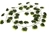 観葉植物 壁掛け インテリア 造花 グリーン 緑 壁 吊り (ブドウ, 小10本)